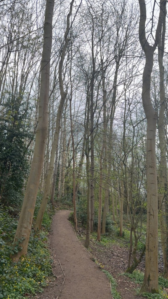 CjYKMlNuYXBjaGF0LzEzLjg2LjAuNTMgKGlQaG9uZTE4LDI7IGlPUyAyNi4zLjE7IGd6aXApIAI=